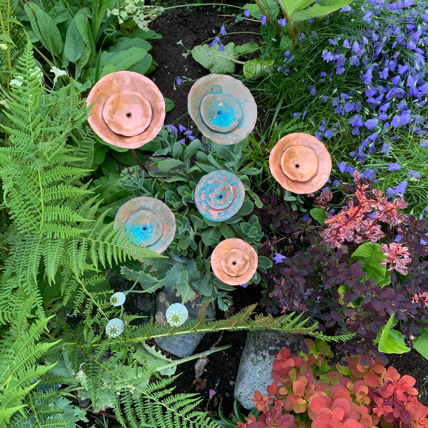 Copper and Patina Copper flowers in garden
