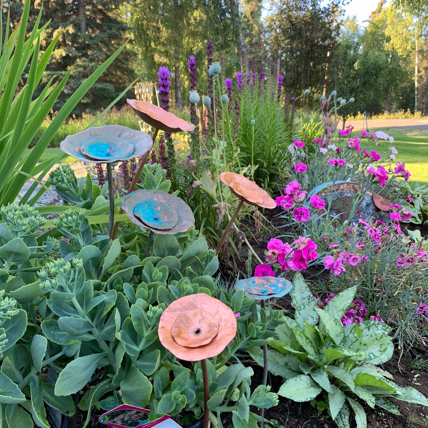 Copper flowers in garden