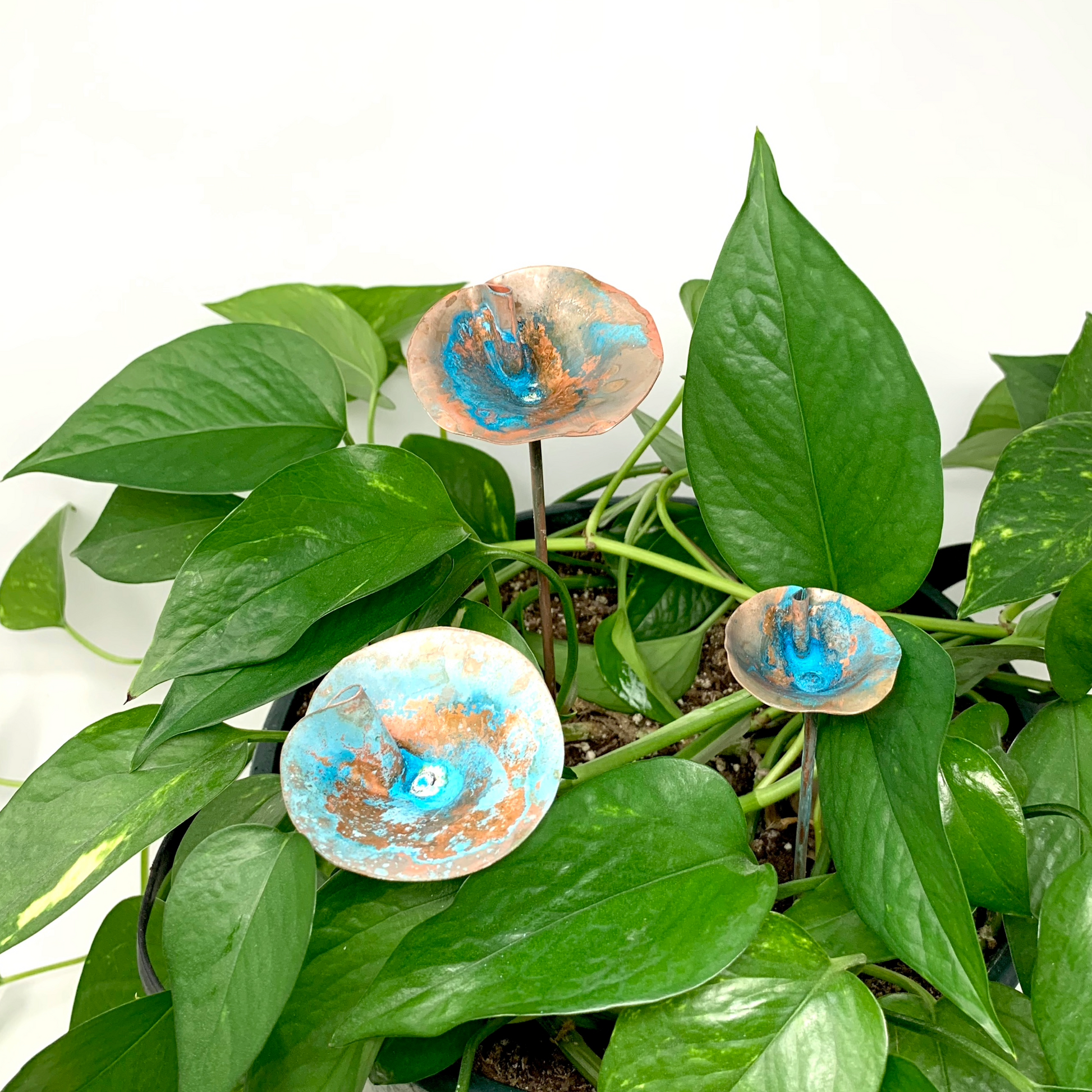 Set of 3 copper flowers with green/blue patina finish